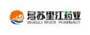 合作伙伴