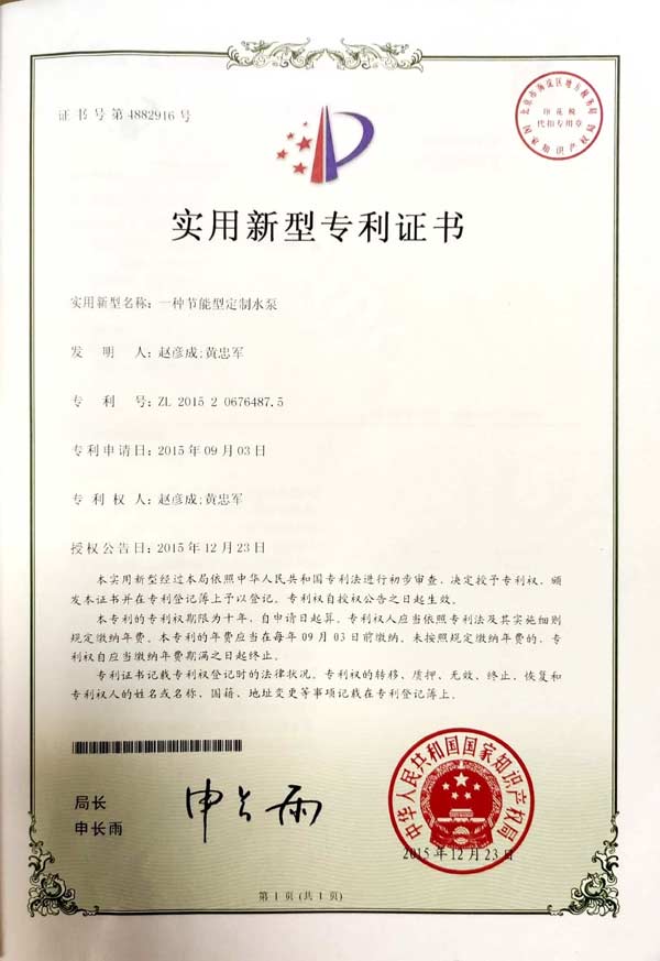 一種節能型定制水泵